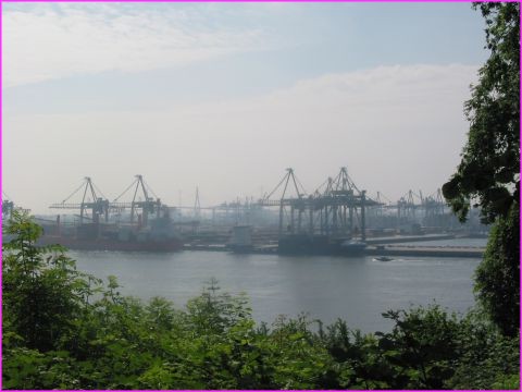 La for�t de grues dans le port de Hamboug