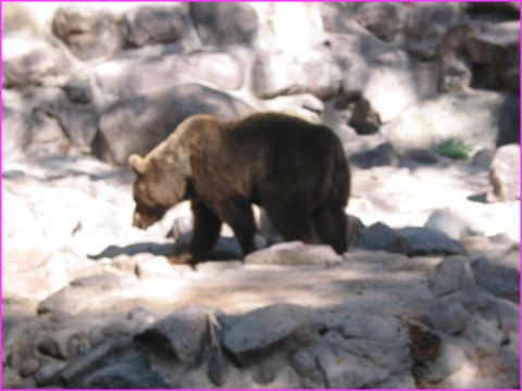 129-2921_IMG.JPG