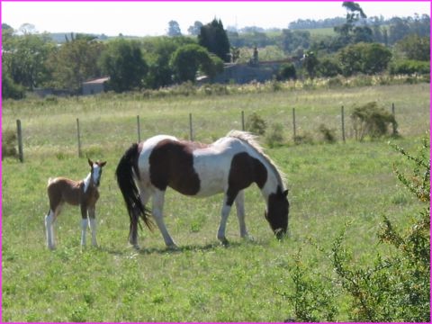 132-3243_IMG.JPG