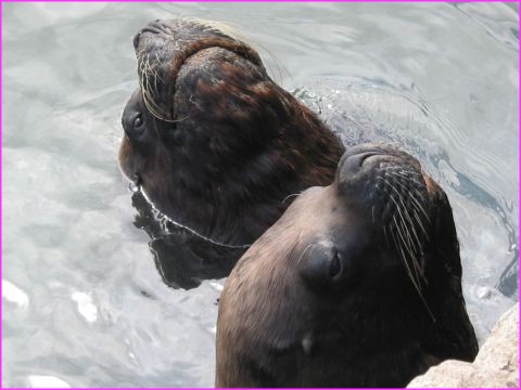 132-3292_IMG.JPG