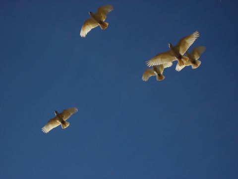 IMG_0969.JPG