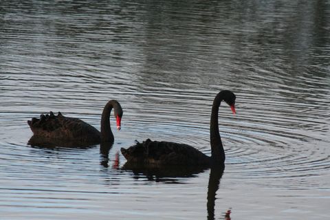 IMG_3059.JPG