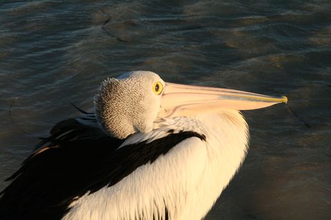 IMG_3073.JPG
