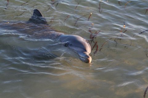 IMG_3116.JPG