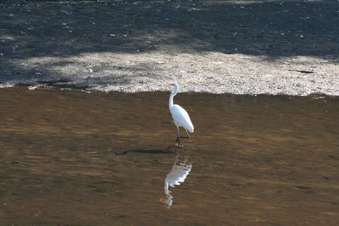 IMG_3452.JPG
