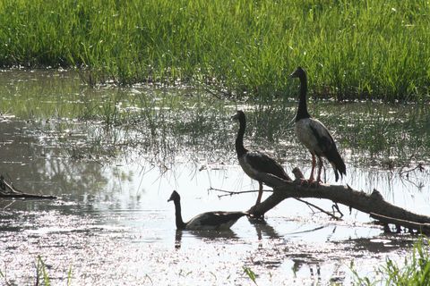 IMG_3720.JPG