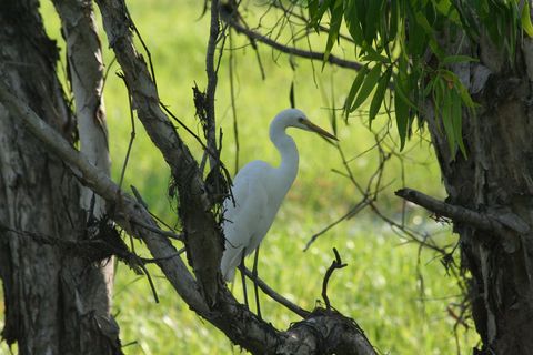 IMG_3721.JPG