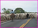 127-2797_IMG.JPG