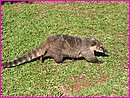 128-2898_IMG.JPG
