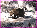 129-2921_IMG.JPG
