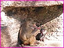 129-2922_IMG.JPG
