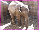 129-2933_IMG.JPG