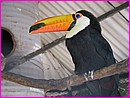 129-2936_IMG.JPG