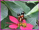 129-2989_IMG.JPG