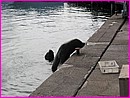 132-3287_IMG.JPG