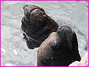 132-3292_IMG.JPG