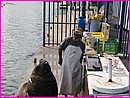 132-3294_IMG.JPG