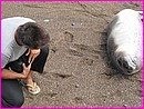 ... Patricia qui cause avec un bb lobo