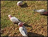 IMG_0911.JPG