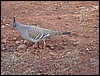 IMG_0913.JPG