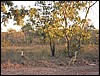 IMG_1066.JPG