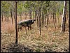 IMG_1136.JPG
