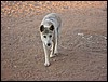 IMG_1244.JPG