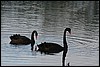 IMG_3059.JPG