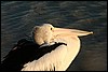 IMG_3073.JPG