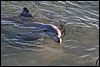 IMG_3116.JPG