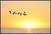 IMG_3218.JPG