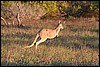 IMG_3253.JPG