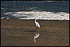 IMG_3452.JPG
