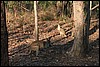 IMG_3540.JPG