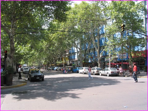 Toutes les rues de Mendoza sont trs arbores