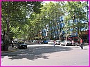 Toutes les rues de Mendoza sont trs arbores