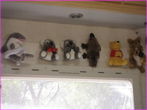 En fait, ils ne vous ont pas dit que nous �tions aussi du voyage !