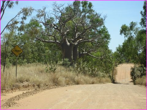 Sur la Gibb River Road, ... sympa 