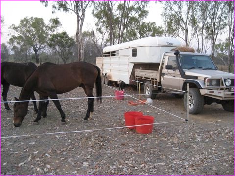 Un cousin de Prosper qui ne rechigne pas au dur labeur