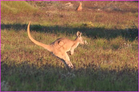 Et hop ! de la visite au tomber du soleil