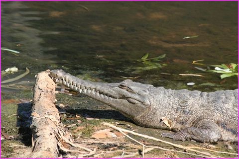 Ou l'art et la mani�re pour ne pas se fatiguer les cervicales