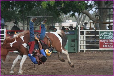 Atterrissage pr�che !