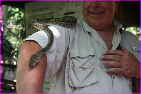 Pas courageux l'hombre ?