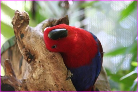 Dis moi, tu sais comment je t'aime ?