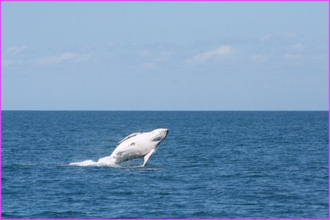 ... et sur l'autre pour que vous voyez mon ventrou