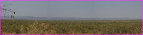 Panorama des for�ts du Kakadu Central
