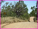 Sur la Gibb River Road, ... sympa 