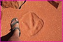 Trace de dinosaure � la pointe Gantheaume pr�s de Broome