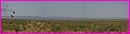 Panorama des for�ts du Kakadu Central