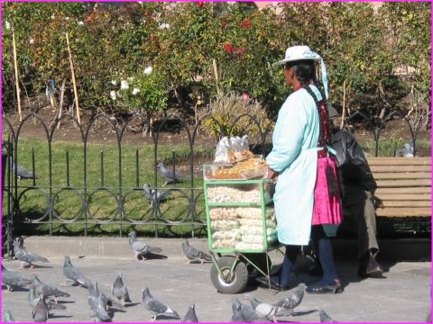 Qui veut des cacahuettes, pistaches, .....